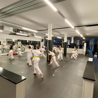 Kinderkarate 8 bis 12 Jahre in Dübendorf